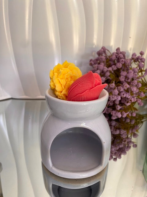 Difusor de cerámica Ovalado