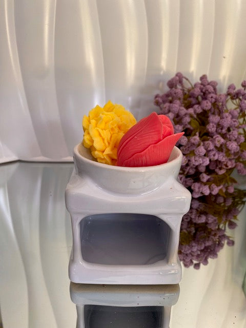 Difusor de cerámica Cubo